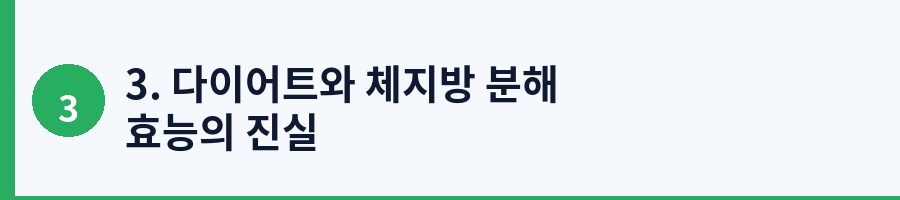 3. 다이어트와 체지방 분해 효능의 진실