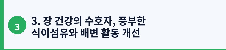 3. 장 건강의 수호자, 풍부한 식이섬유와 배변 활동 개선