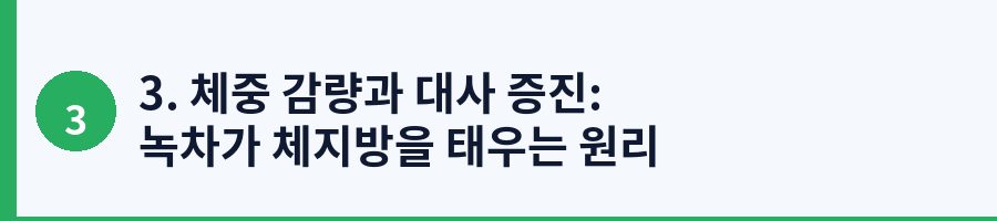 3. 체중 감량과 대사 증진: 녹차가 체지방을 태우는 원리