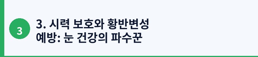 3. 시력 보호와 황반변성 예방: 눈 건강의 파수꾼