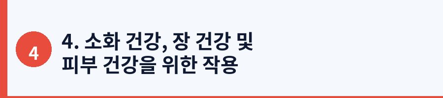 4. 소화 건강, 장 건강 및 피부 건강을 위한 작용
