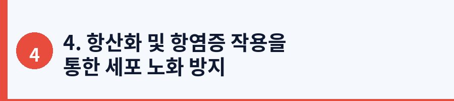 4. 항산화 및 항염증 작용을 통한 세포 노화 방지