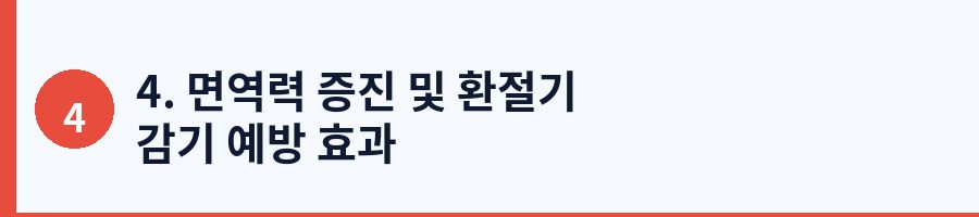 4. 면역력 증진 및 환절기 감기 예방 효과