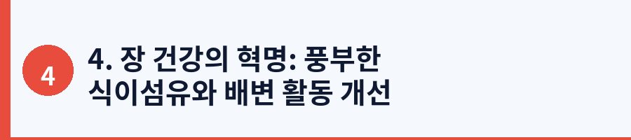 4. 장 건강의 혁명: 풍부한 식이섬유와 배변 활동 개선