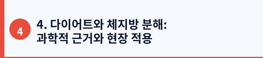 4. 다이어트와 체지방 분해: 과학적 근거와 현장 적용
