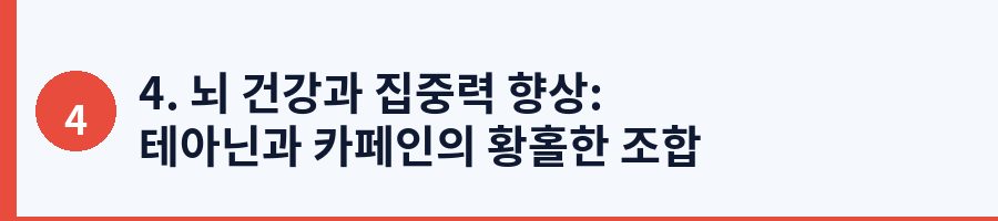 4. 뇌 건강과 집중력 향상: 테아닌과 카페인의 황홀한 조합
