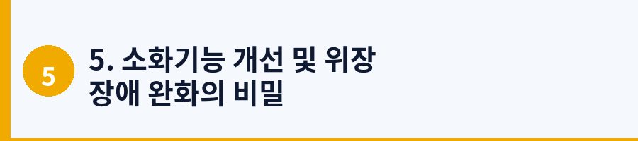 5. 소화기능 개선 및 위장 장애 완화의 비밀