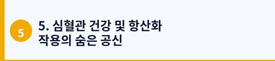 5. 심혈관 건강 및 항산화 작용의 숨은 공신