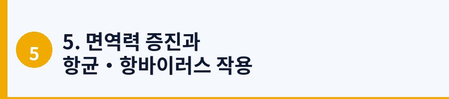 5. 면역력 증진과 항균·항바이러스 작용