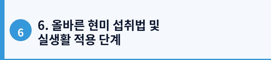 6. 올바른 현미 섭취법 및 실생활 적용 단계