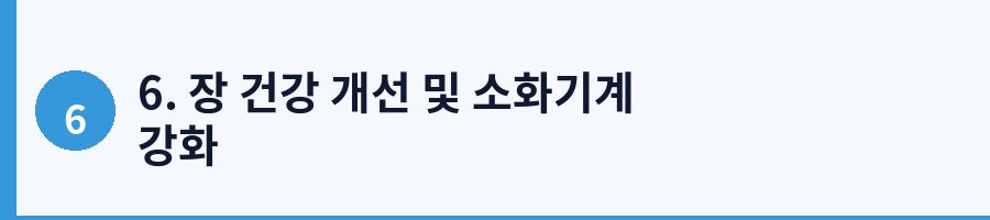 6. 장 건강 개선 및 소화기계 강화