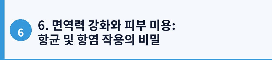 6. 면역력 강화와 피부 미용: 항균 및 항염 작용의 비밀