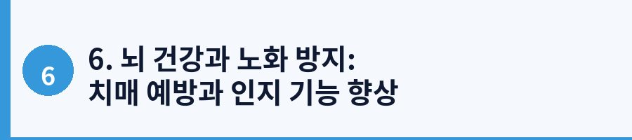 6. 뇌 건강과 노화 방지: 치매 예방과 인지 기능 향상