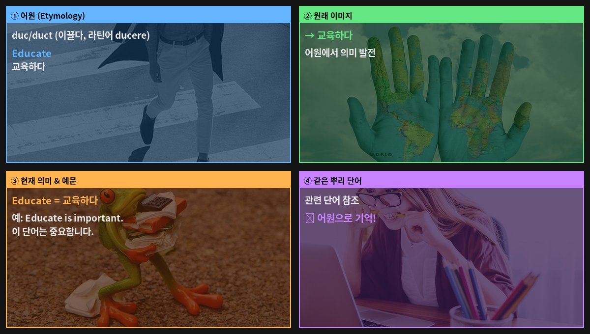 Educate 어원 4컷