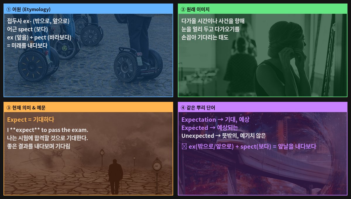 Expect 어원 4컷