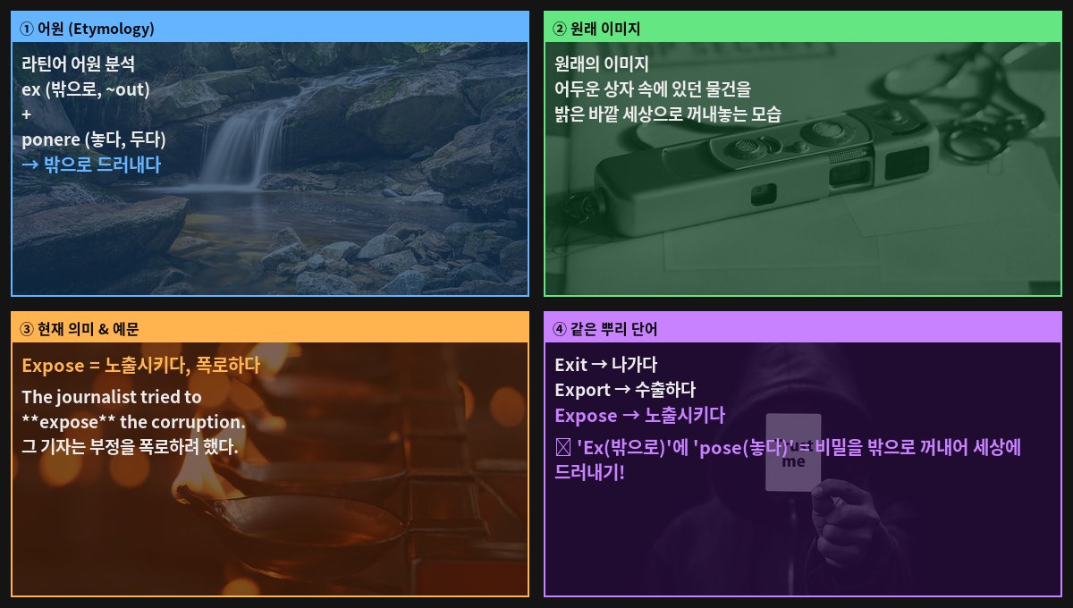 Expose 어원 4컷