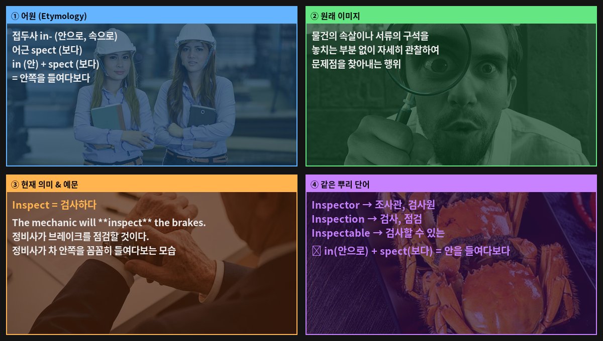 Inspect 어원 4컷
