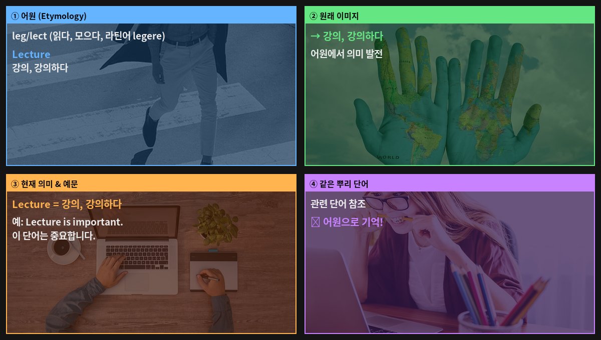 Lecture 어원 4컷