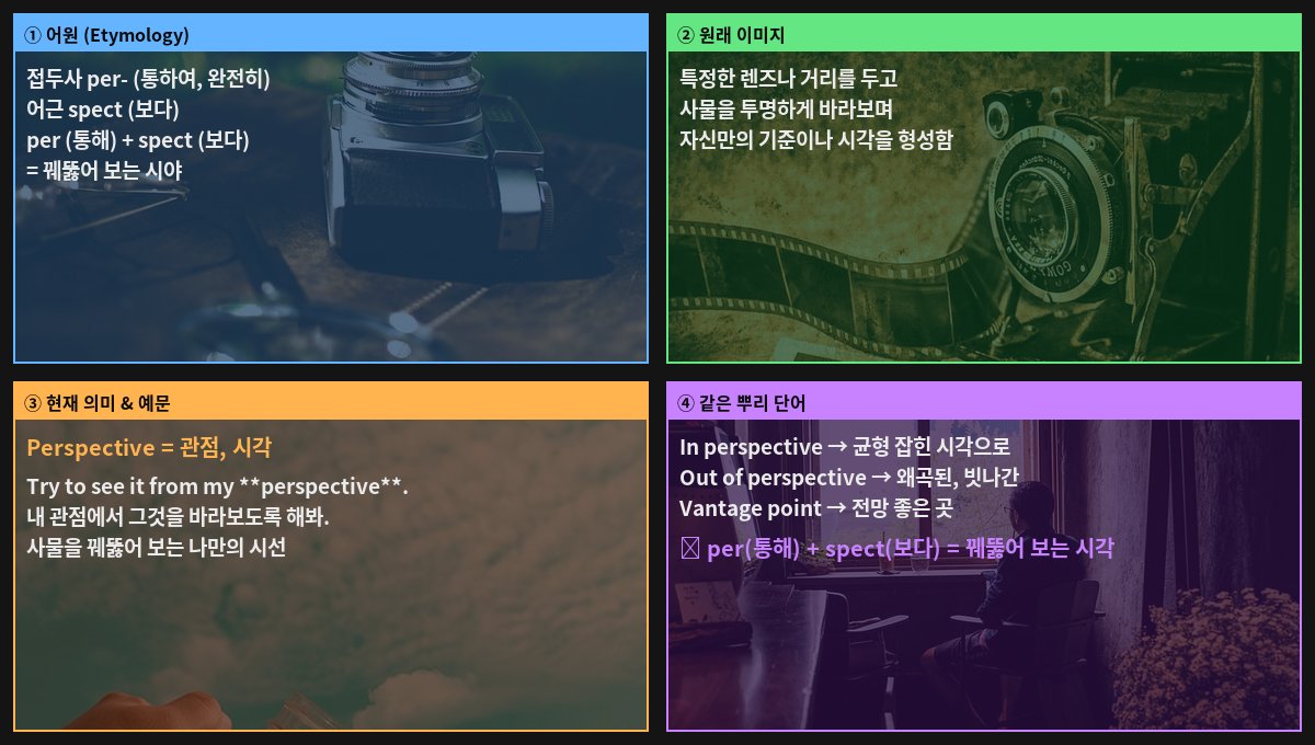 Perspective 어원 4컷