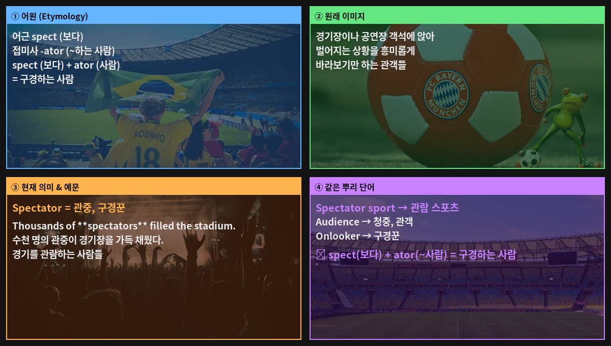 Spectator 어원 4컷