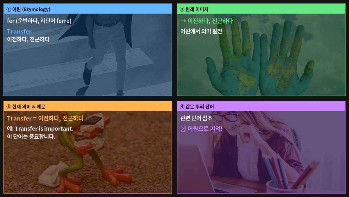Transfer 어원 4컷